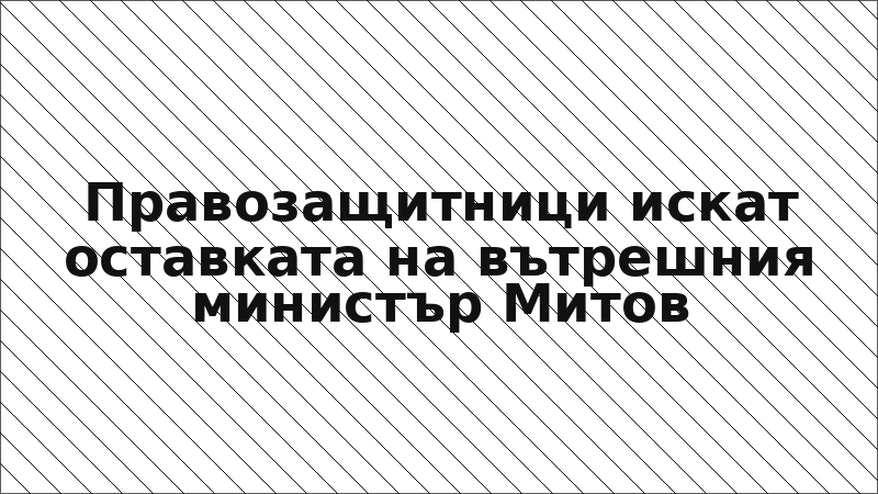 Правозащитници искат оставката на вътрешния министър Митов