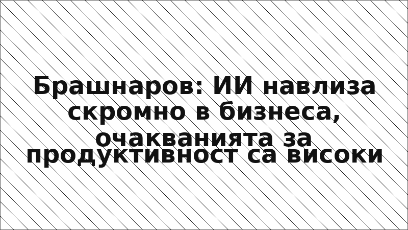 Брашнаров: ИИ навлиза скромно в бизнеса, очакванията за продуктивност са високи