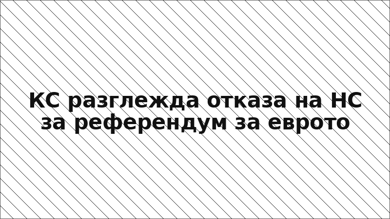 КС разглежда отказа на НС за референдум за еврото