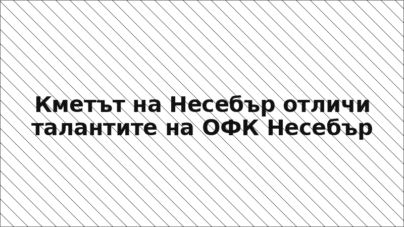 Кметът на Несебър отличи талантите на ОФК Несебър