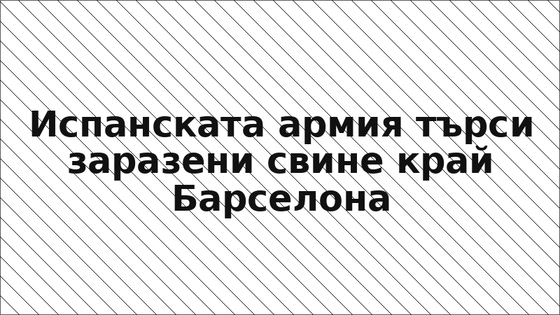 Испанската армия търси заразени свине край Барселона