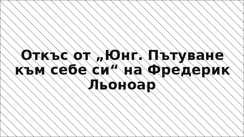 Откъс от „Юнг. Пътуване към себе си“ на Фредерик Льоноар
