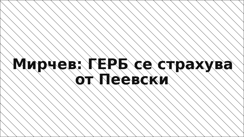 Мирчев: ГЕРБ се страхува от Пеевски