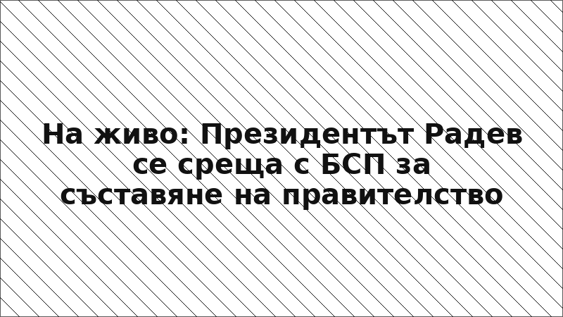 На живо: Президентът Радев се среща с БСП за съставяне на правителство