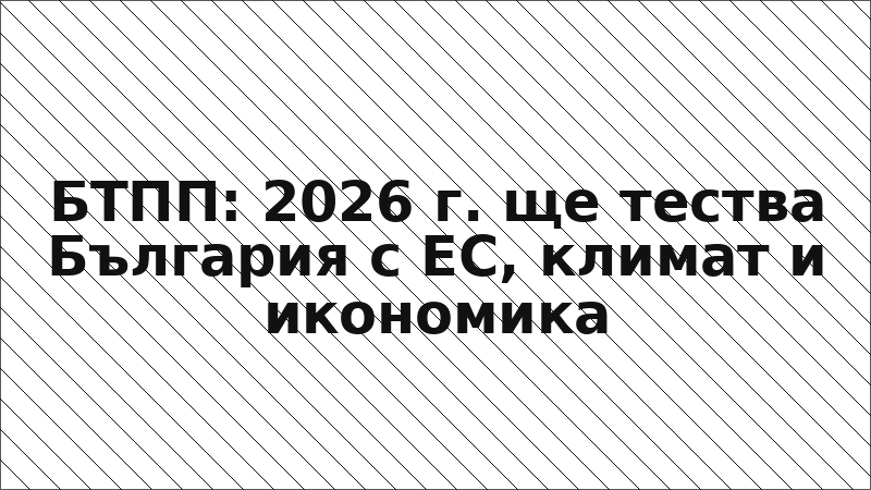 БТПП: 2026 г. ще тества България с ЕС, климат и икономика