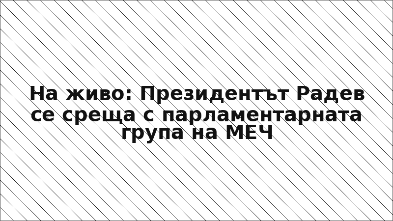 На живо: Президентът Радев се среща с парламентарната група на МЕЧ