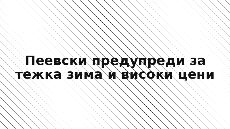 Пеевски предупреди за тежка зима и високи цени