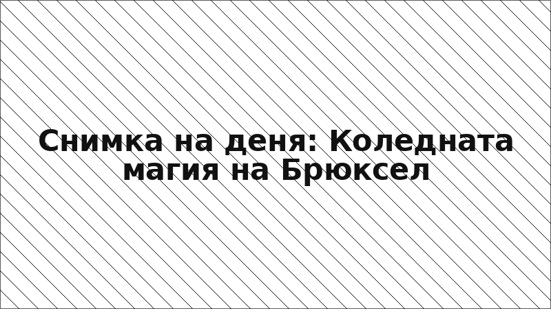 Снимка на деня: Коледната магия на Брюксел