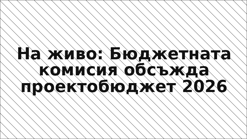 На живо: Бюджетната комисия обсъжда проектобюджет 2026