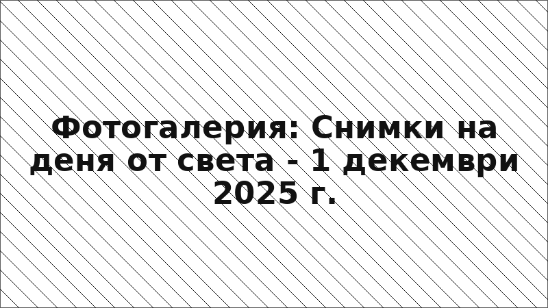 Фотогалерия: Снимки на деня от света - 1 декември 2025 г.