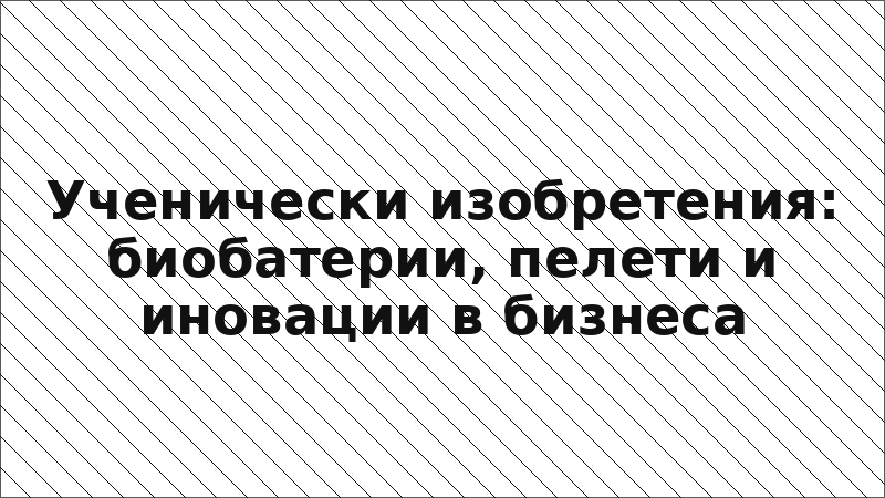 Ученически изобретения: биобатерии, пелети и иновации в бизнеса