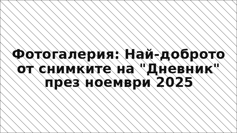 Фотогалерия: Най-доброто от снимките на "Дневник" през ноември 2025