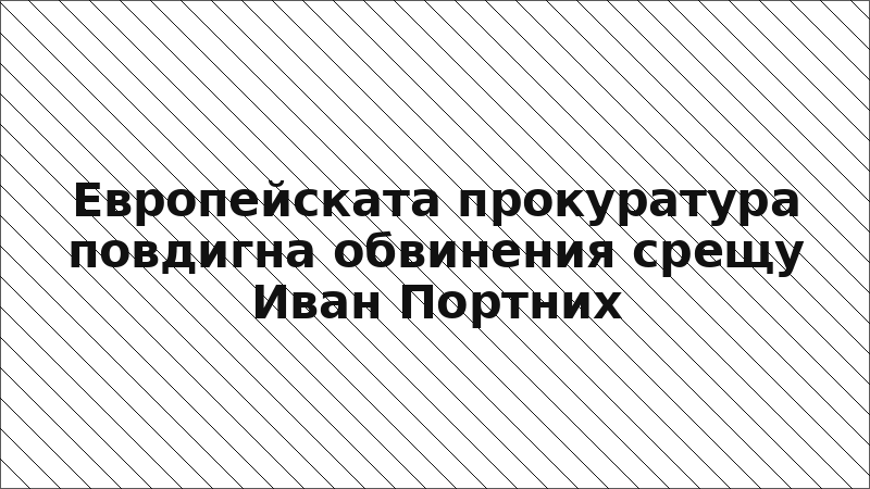 Европейската прокуратура повдигна обвинения срещу Иван Портних