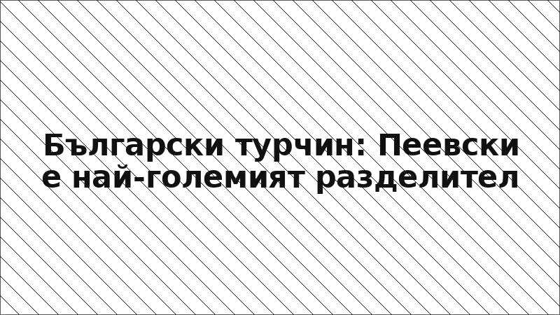 Български турчин: Пеевски е най-големият разделител