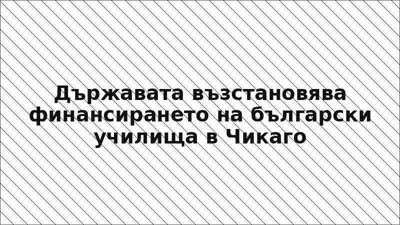 Държавата възстановява финансирането на български училища в Чикаго