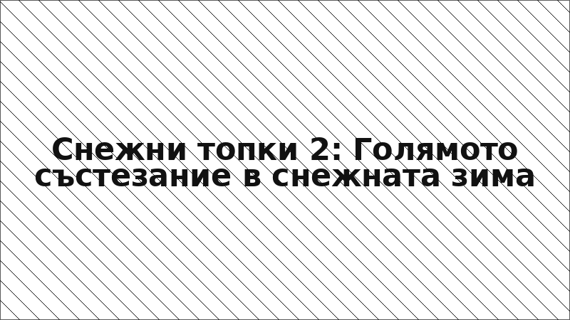 Снежни топки 2: Голямото състезание в снежната зима