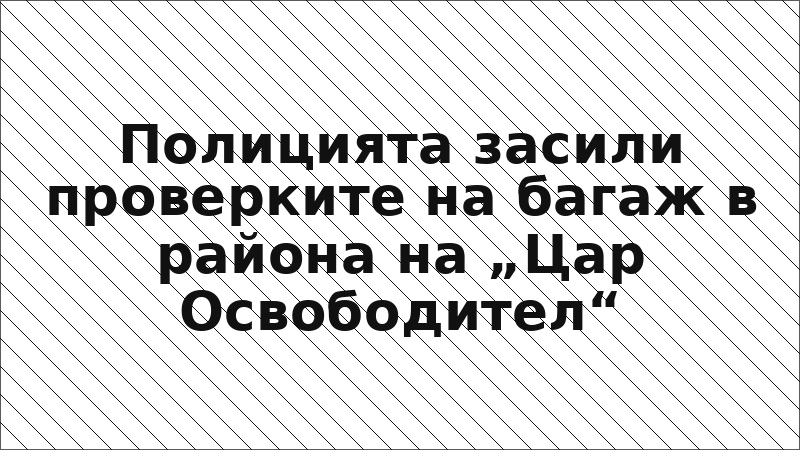 Полицията засили проверките на багаж в района на „Цар Освободител“