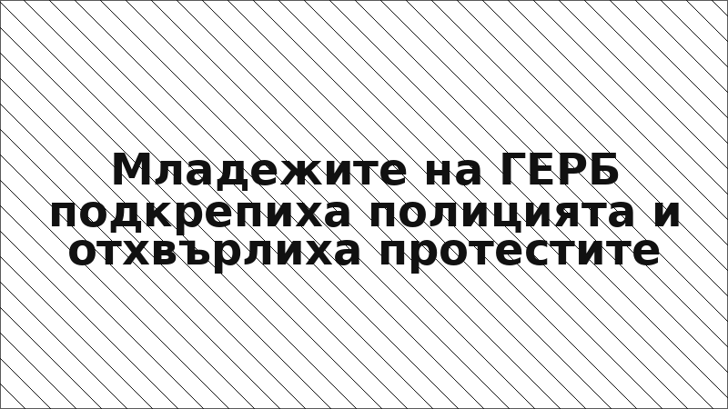 Младежите на ГЕРБ подкрепиха полицията и отхвърлиха протестите
