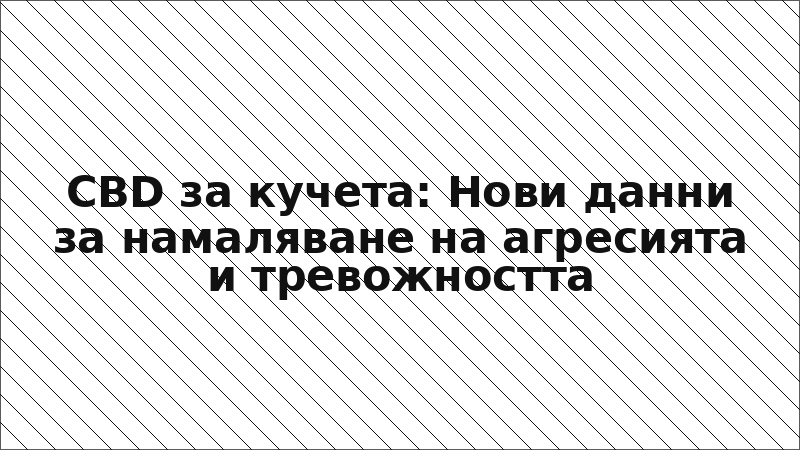 CBD за кучета: Нови данни за намаляване на агресията и тревожността