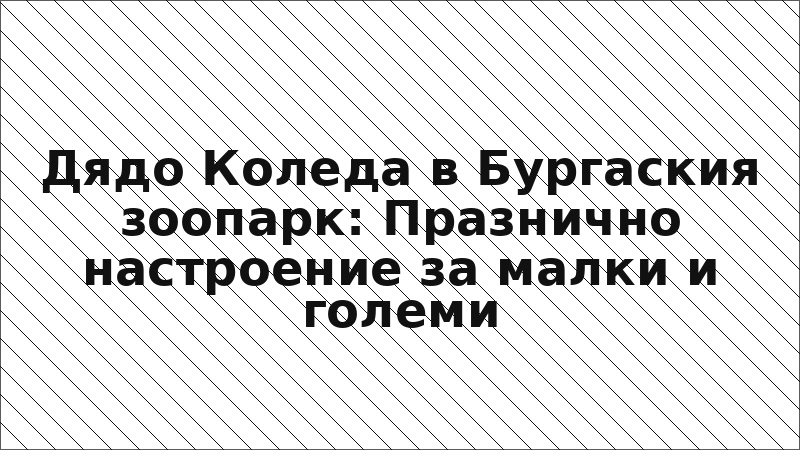 Дядо Коледа в Бургаския зоопарк: Празнично настроение за малки и големи