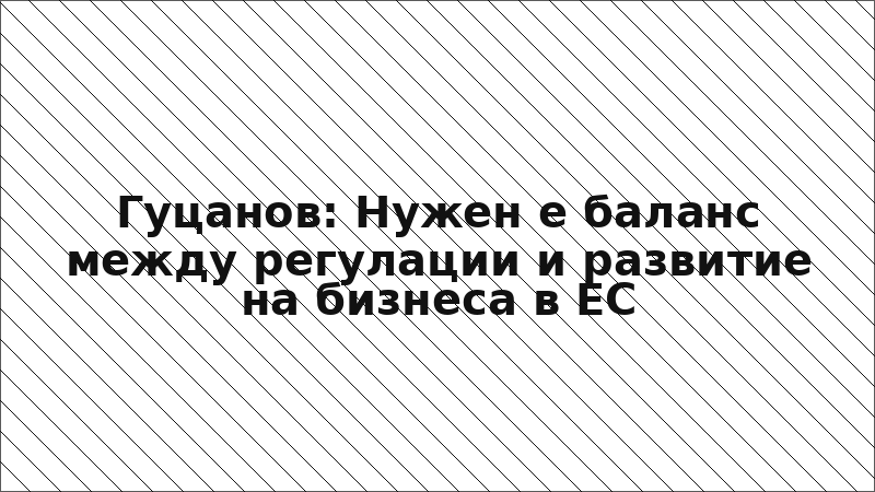 Гуцанов: Нужен е баланс между регулации и развитие на бизнеса в ЕС