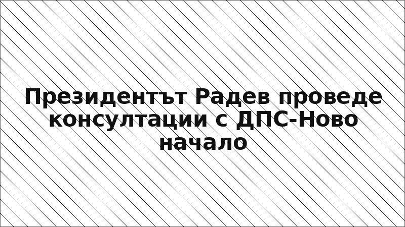 Президентът Радев проведе консултации с ДПС-Ново начало