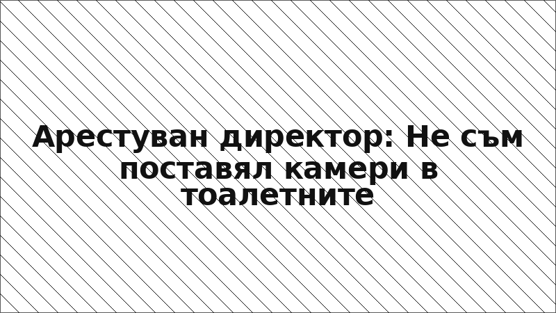 Арестуван директор: Не съм поставял камери в тоалетните