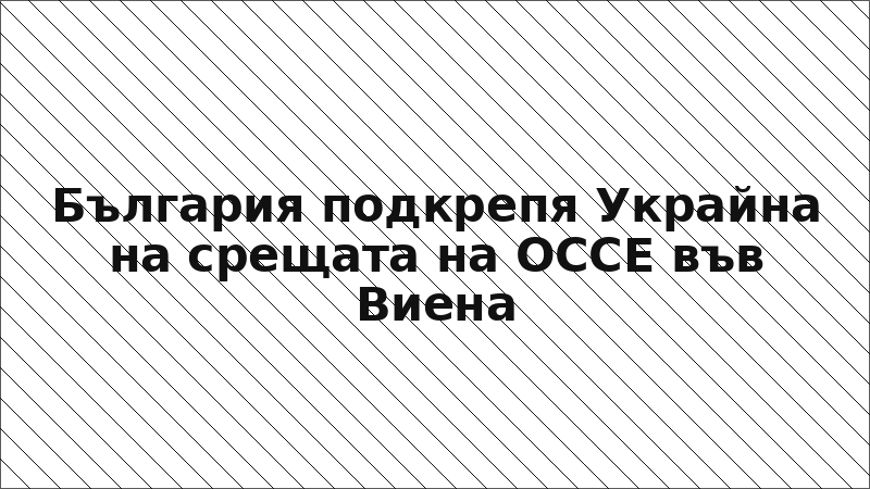 България подкрепя Украйна на срещата на ОССЕ във Виена