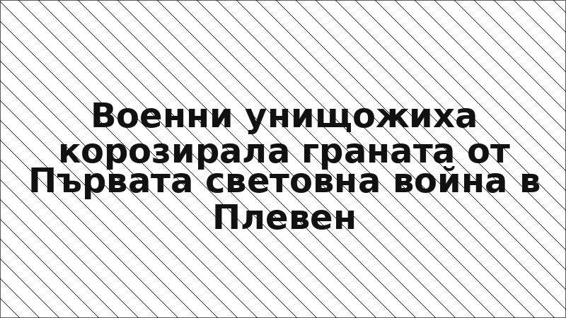 Военни унищожиха корозирала граната от Първата световна война в Плевен