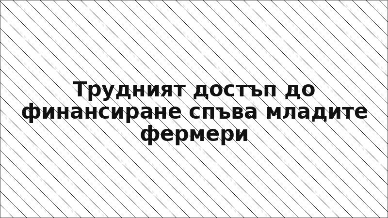 Трудният достъп до финансиране спъва младите фермери