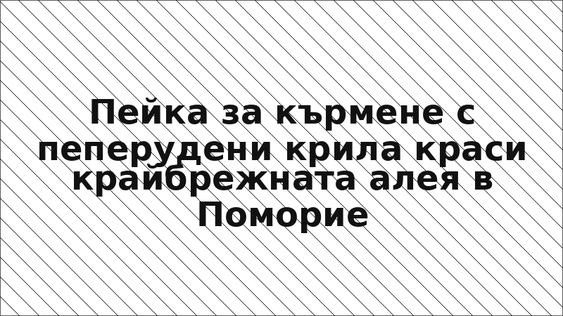 Пейка за кърмене с пеперудени крила краси крайбрежната алея в Поморие