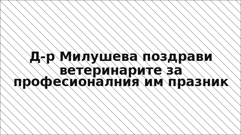 Д-р Милушева поздрави ветеринарите за професионалния им празник