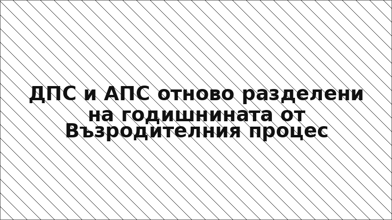 ДПС и АПС отново разделени на годишнината от Възродителния процес