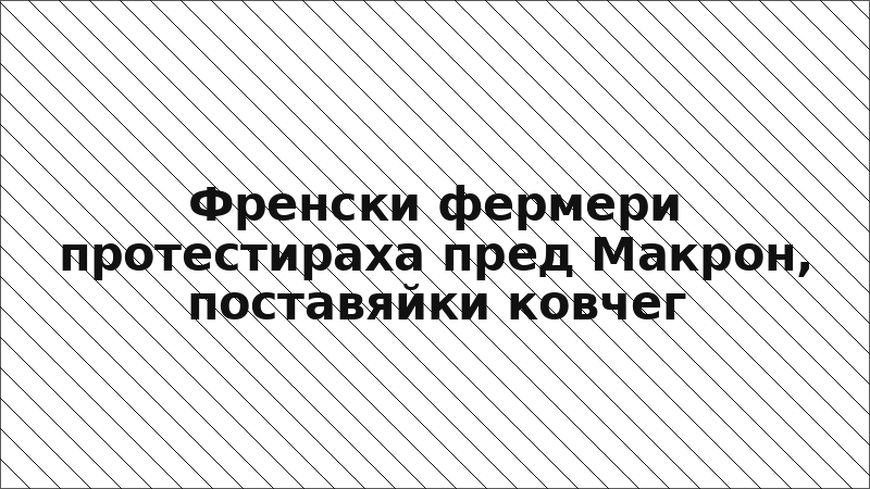 Френски фермери протестираха пред Макрон, поставяйки ковчег