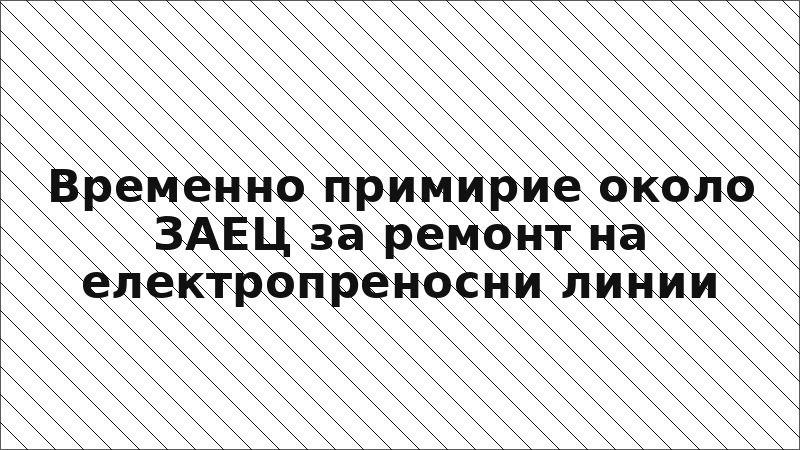 Временно примирие около ЗАЕЦ за ремонт на електропреносни линии
