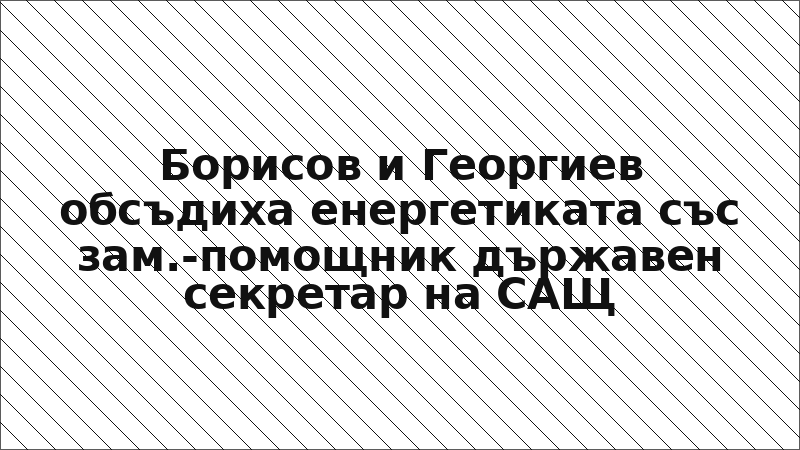 Борисов и Георгиев обсъдиха енергетиката със зам.-помощник държавен секретар на САЩ