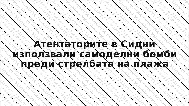 Атентаторите в Сидни използвали самоделни бомби преди стрелбата на плажа