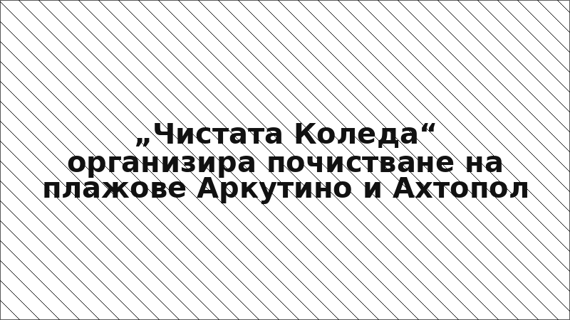 „Чистата Коледа“ организира почистване на плажове Аркутино и Ахтопол