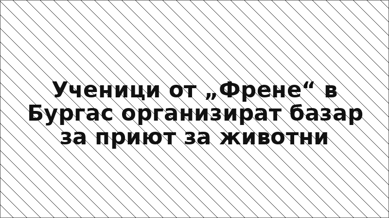 Ученици от „Френе“ в Бургас организират базар за приют за животни