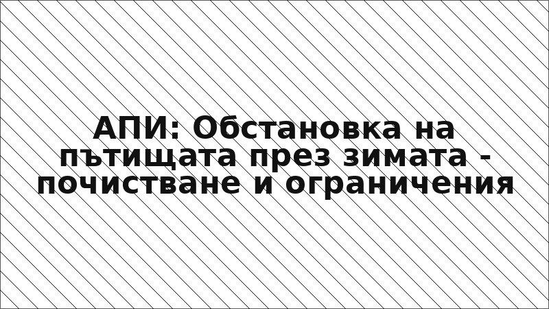 АПИ: Обстановка на пътищата през зимата - почистване и ограничения