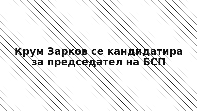 Крум Зарков се кандидатира за председател на БСП