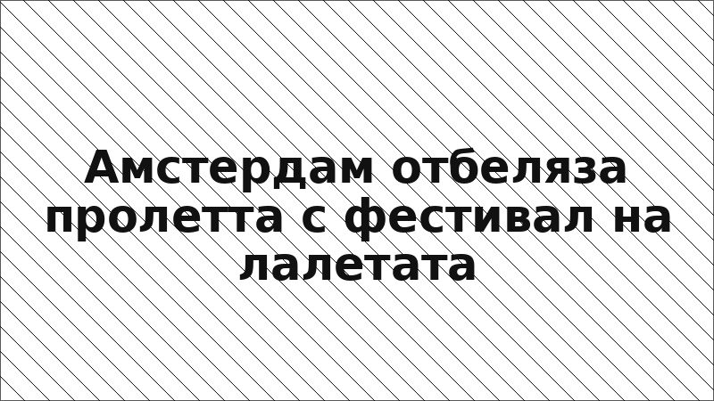 Амстердам отбеляза пролетта с фестивал на лалетата