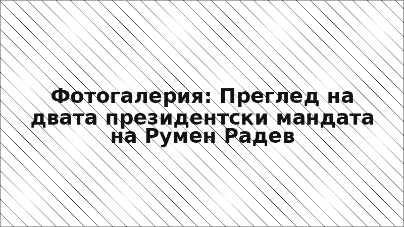 Фотогалерия: Преглед на двата президентски мандата на Румен Радев