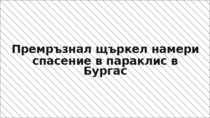 Премръзнал щъркел намери спасение в параклис в Бургас