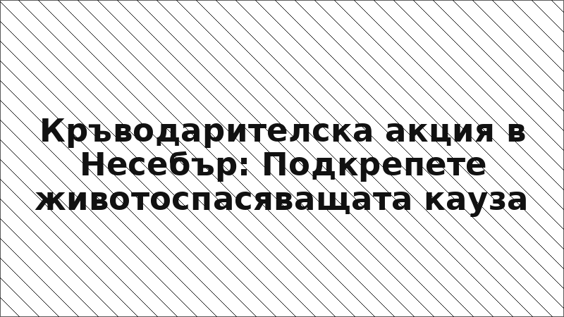Кръводарителска акция в Несебър: Подкрепете животоспасяващата кауза