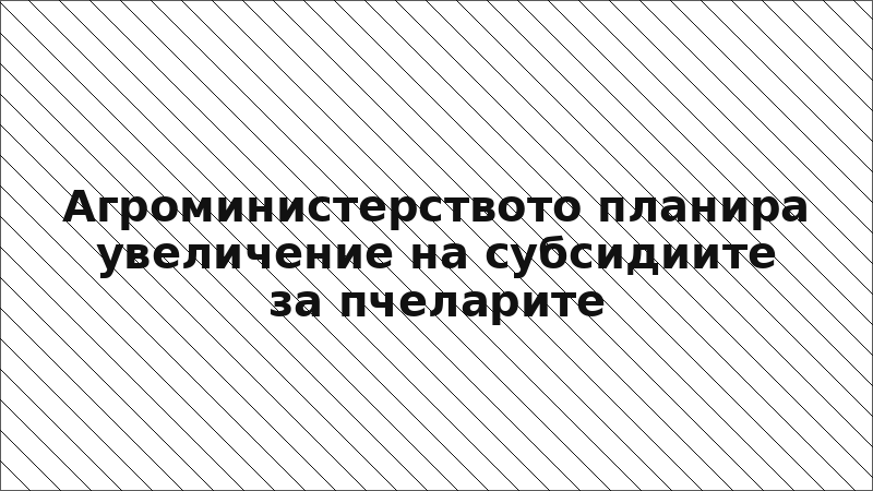 Агроминистерството планира увеличение на субсидиите за пчеларите