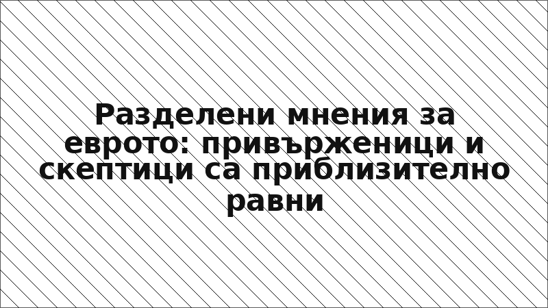 Разделени мнения за еврото: привърженици и скептици са приблизително равни