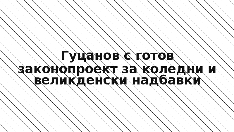Гуцанов с готов законопроект за коледни и великденски надбавки