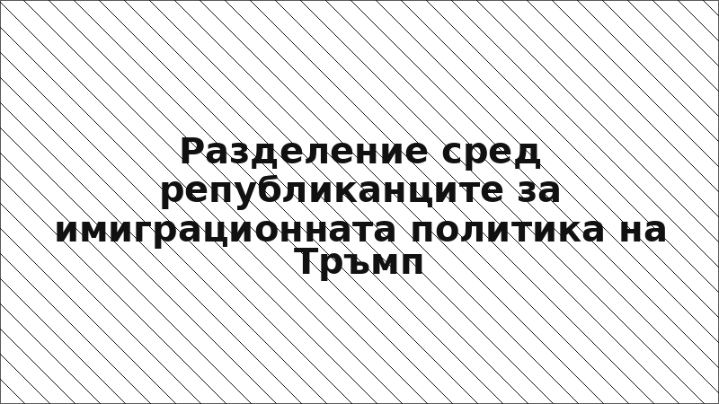 Разделение сред републиканците за имиграционната политика на Тръмп