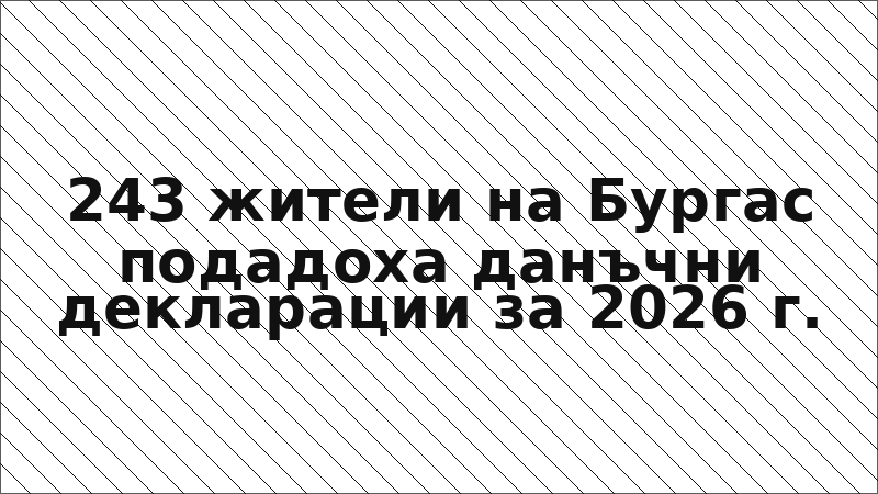243 жители на Бургас подадоха данъчни декларации за 2026 г.